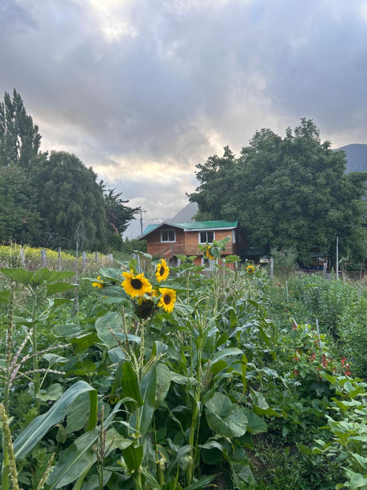 Turismo Rural Los Alpes Futaleufú Esterno foto