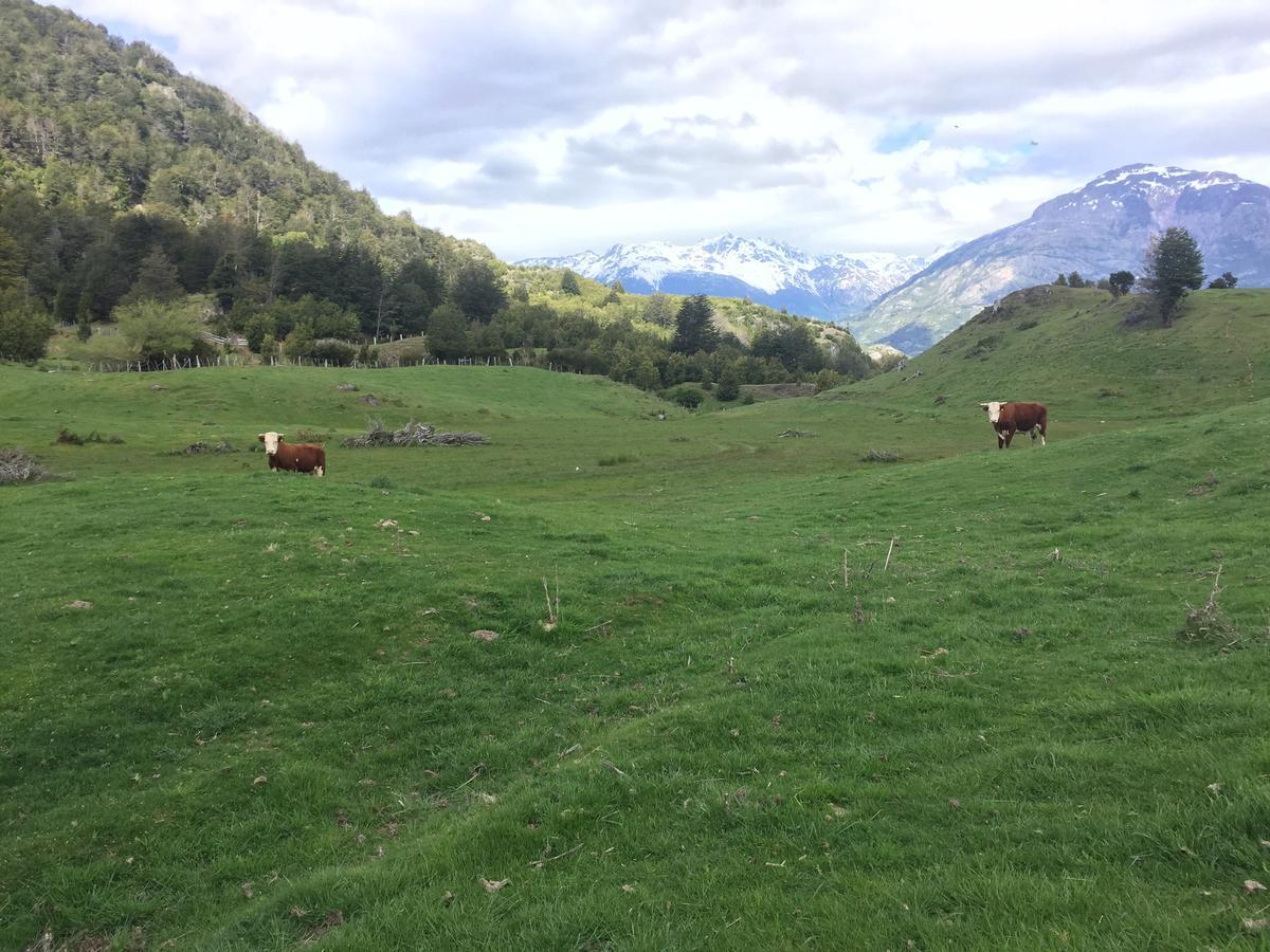 Turismo Rural Los Alpes Futaleufú Esterno foto